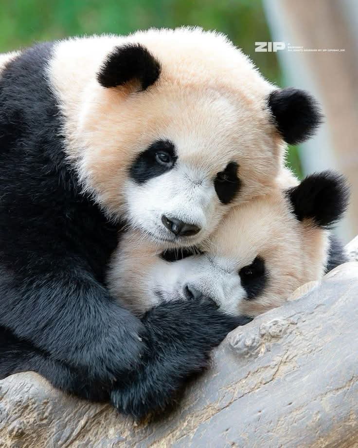 kate68_102's tweet image. 