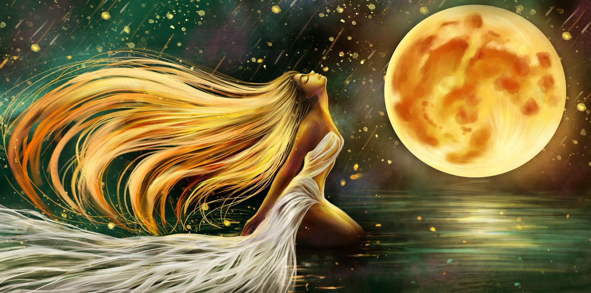 mahsanamini's tweet image. Light is my tool