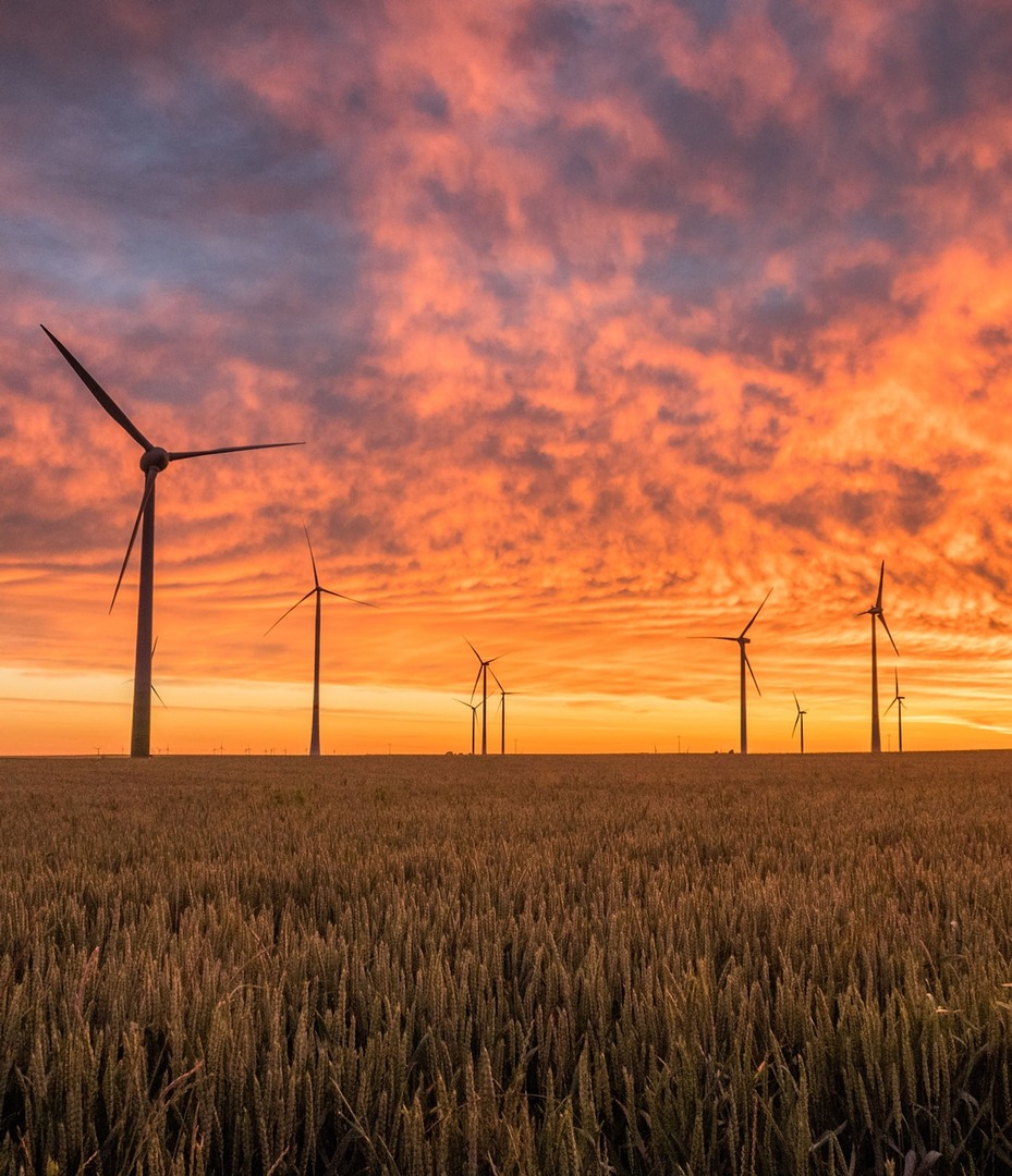 Hernshead's tweet image. The #PowerSector underpins everything: from generation to reliable distribution.

We support organisations working across #PowerGeneration and Transformers, Distribution &amp;amp; UPS, helping them secure talent.

Check out our website for more: heyor.ca/grZJvy