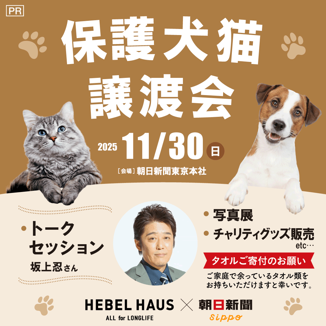 Asahisippo's tweet image. ＼参加無料＆先着予約制／
✨🐱未来の家族に、会いにきませんか？🐶✨
HEBEL HAUS×sippo 保護犬猫譲渡会、今年も開催決定！

🐶🐱新しい家族との出会いの場🐱🐶
個性豊かな保護犬・保護猫たちが大集合！
午前の猫の会、まだ空きがございます🐱ご家族連れはもちろん、お一人でのご参加も歓迎です！…