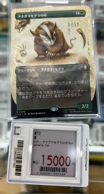 在庫情報】#イエサブ、#MTGJP #宇都宮 アナグマモグラの仔/Badgermole