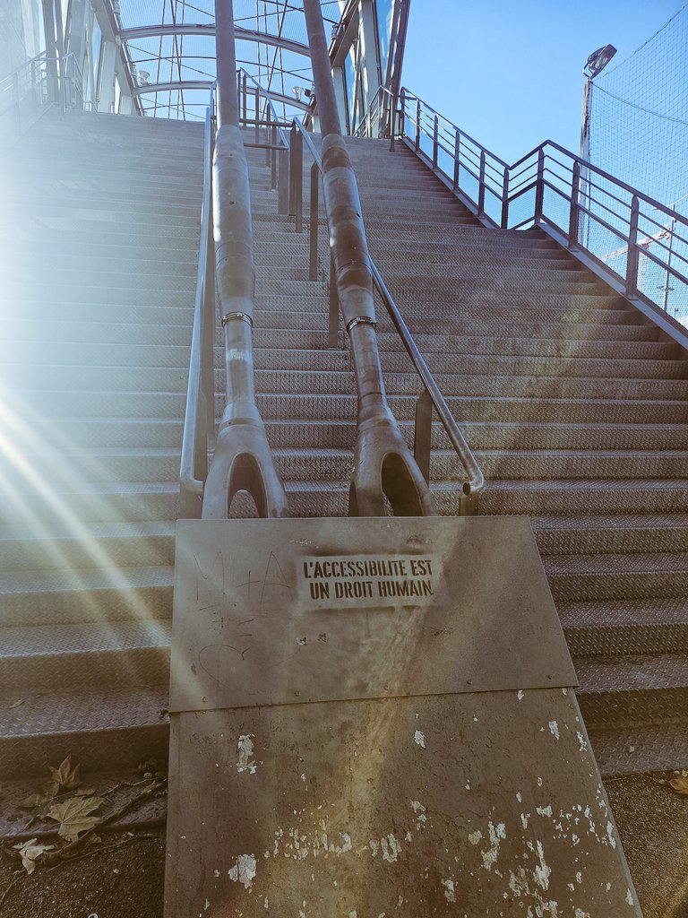 Dominique Palacci tweet media