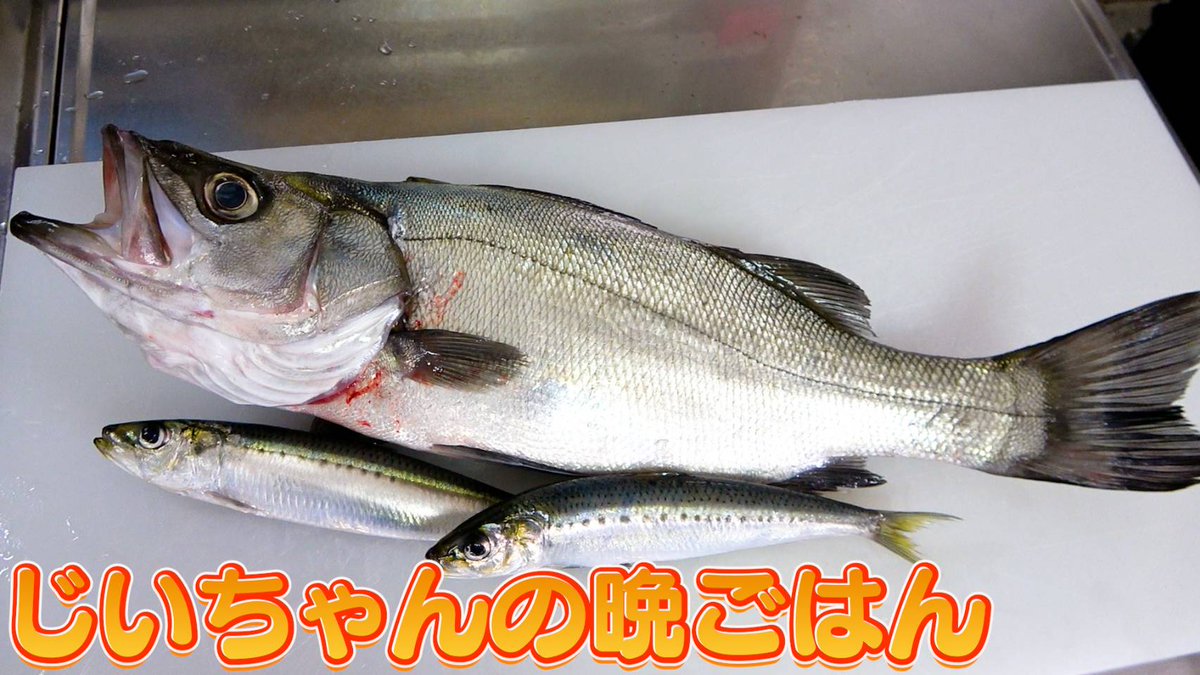 へんおじ へんな魚おじさん (@_Sakana_Ojisan) / Posts / X