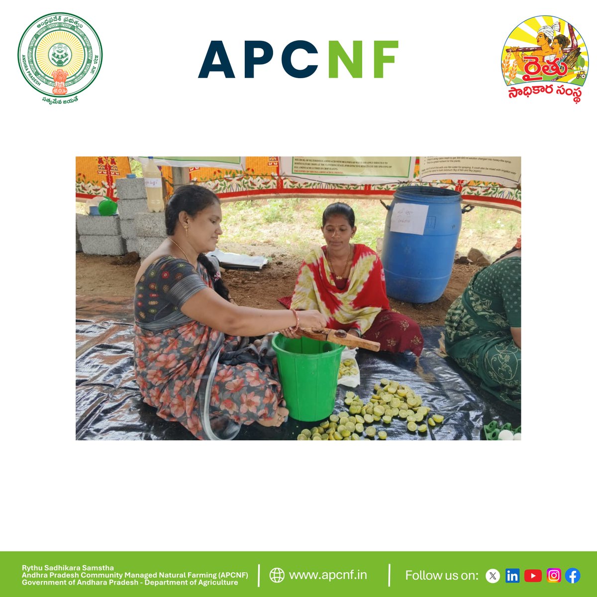 APZBNF's tweet image. The #SWISSAID team has officially begun their exposure visit in Prakasam district, engaging directly with farmers and community leaders to witness #APCNF in action. 

The field program featured live demonstrations of core #NaturalFarming practices such as Beejamrutam and…