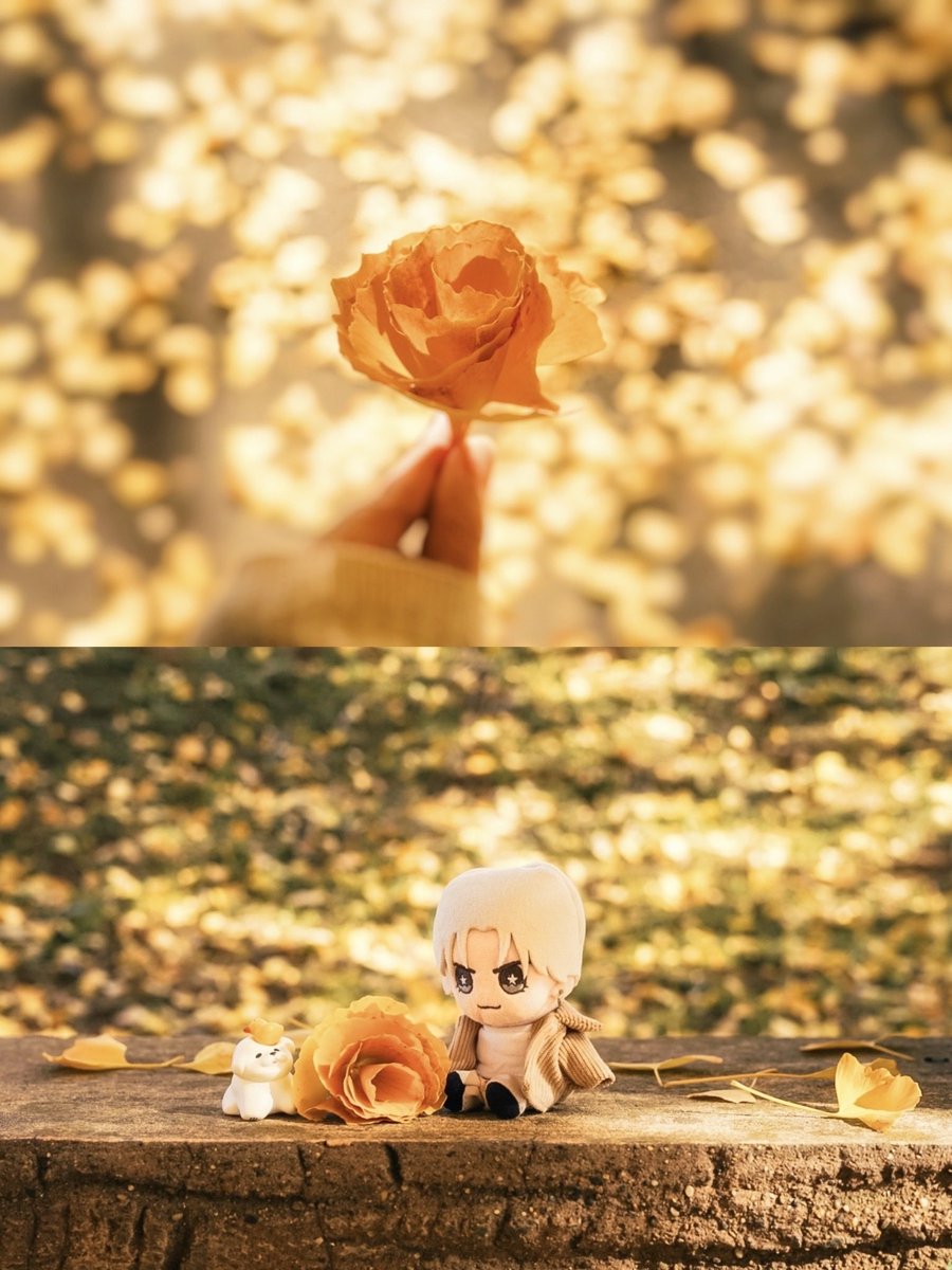 イチョウで作った花束をあなたに

#中島健人 #おけんとさま