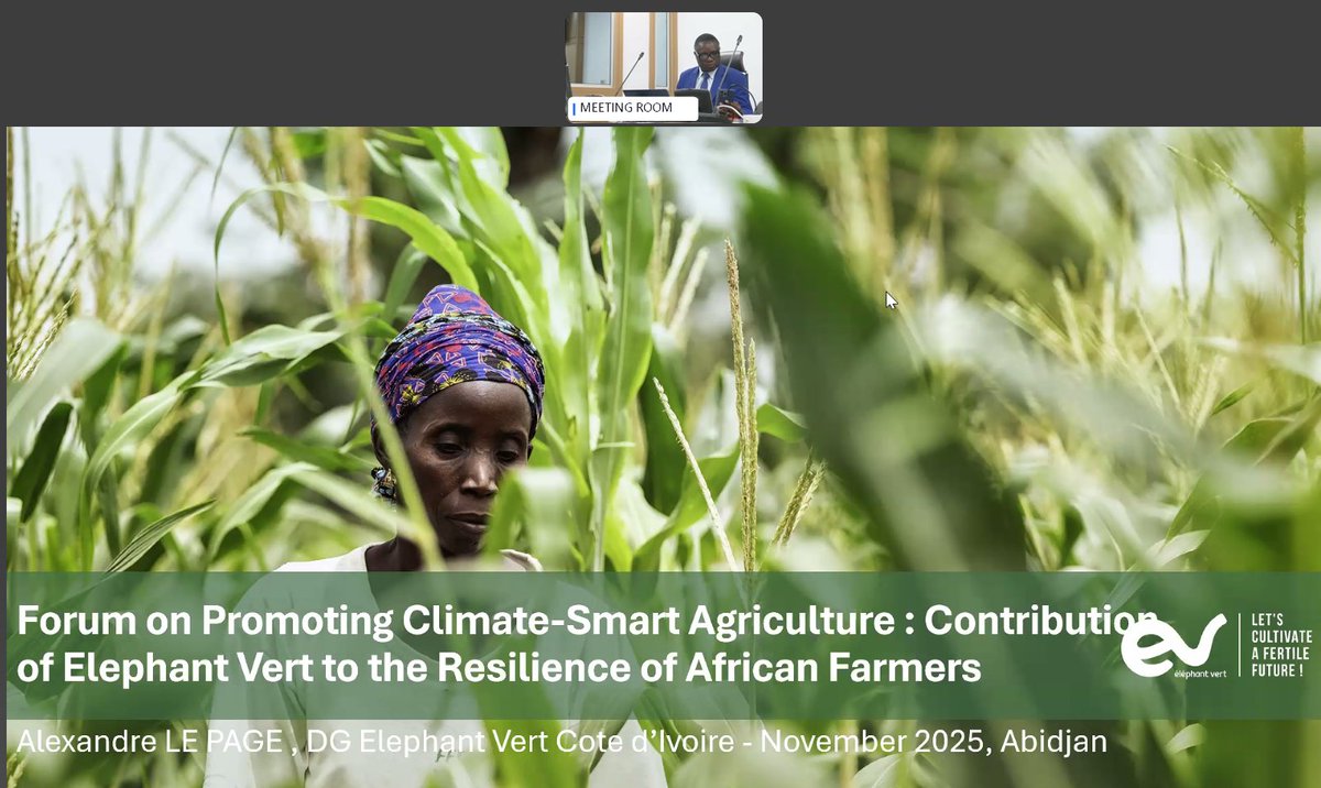 AlphonsoVM's tweet image. Happening now!
#AfDB Forum on Promoting Climate-Smart Agriculture for African Farmers’ Resilience to Climate Change
--
Forum sur la Promotion de l’agriculture climato-intelligente pour une résilience des producteurs africains au changement climatique
Join:
afdb.zoom.us/webinar/regist…