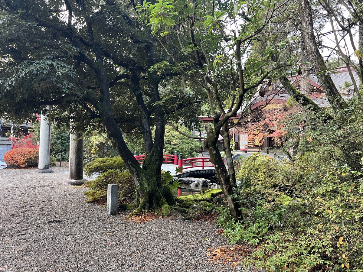 SecretsOfSilent's tweet photo. 今日は
金劔宮→白山比咩神社→高瀬神社を巡拝⛩✨
紅葉の境内が神秘的で、静かな気配の中に背中を押されるような温もりを感じました。
頂いた御朱印にも感謝🙏
皆さまにも良き流れが届���ますよう��✨

#神社巡り #御朱印 #パワースポット https://t.co/hrCVrtMwOC