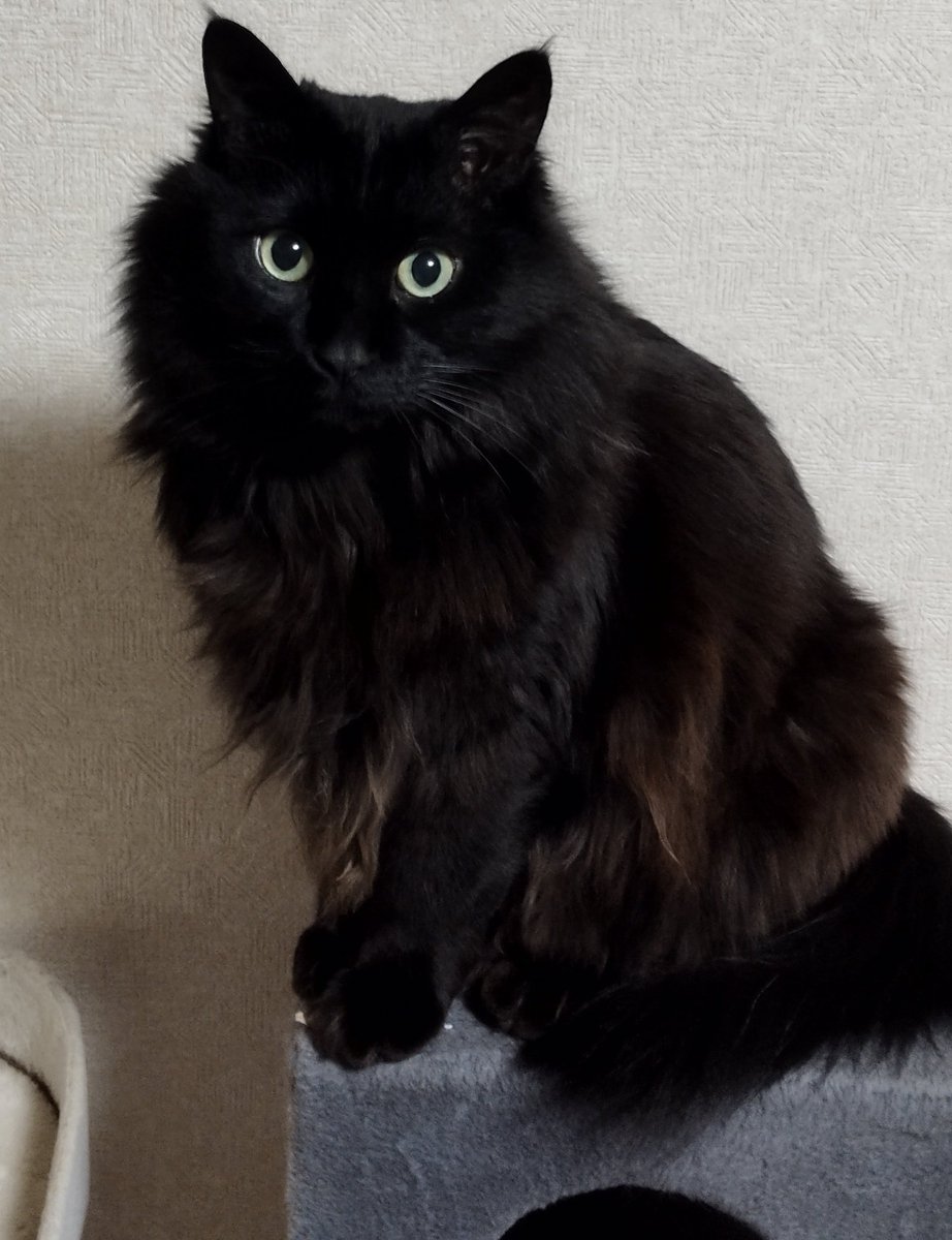 あおあお様♡購入決まりました♡お取り置き Post by まおちゃん on X: すいやせん