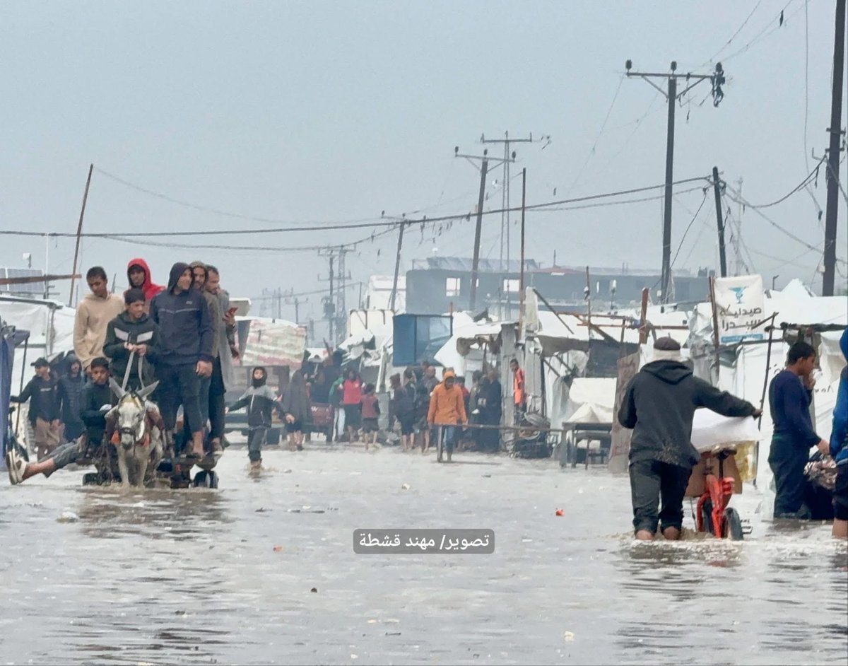 The Israeli genocide has NOT ended.

Children face high levels of malnutrition and starvation. Sufficient food is not allowed to enter.

Israel continues its killing, starvation and destruction. Israel is trying to fool the world with a fake ceasefire.