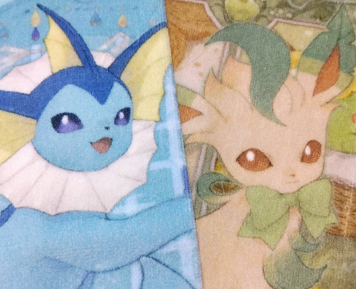 ポケモンセンター行ってきた～😆
ハンドタオル買ってしまった…💸