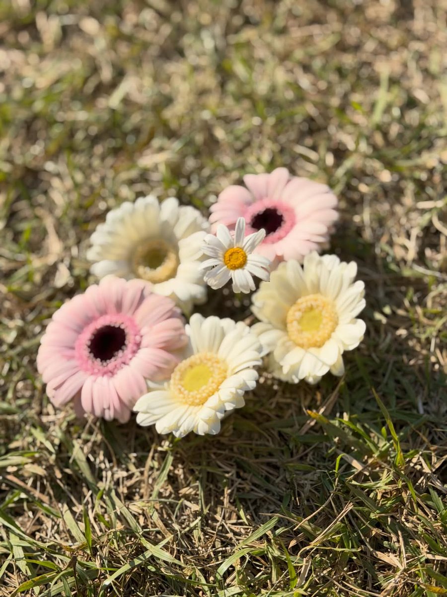 Minijae_Ars's tweet image. YOUNGJAE'S IG POST : 

26/11/2025
@.333cyj333
🌙 : instagram.com/p/DRg5D72klrd/…
(สามารถรับชมภาพทั้งหมดผ่านลิงก์ด้านบนค่ะ)

#Youngjae #영재 #ยองแจ #GOT7
@YOUNGJAExArs @ChoiArs_YJ