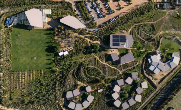 archkitenge's tweet image. Compare and contrast....whats more artistic and sustainable.