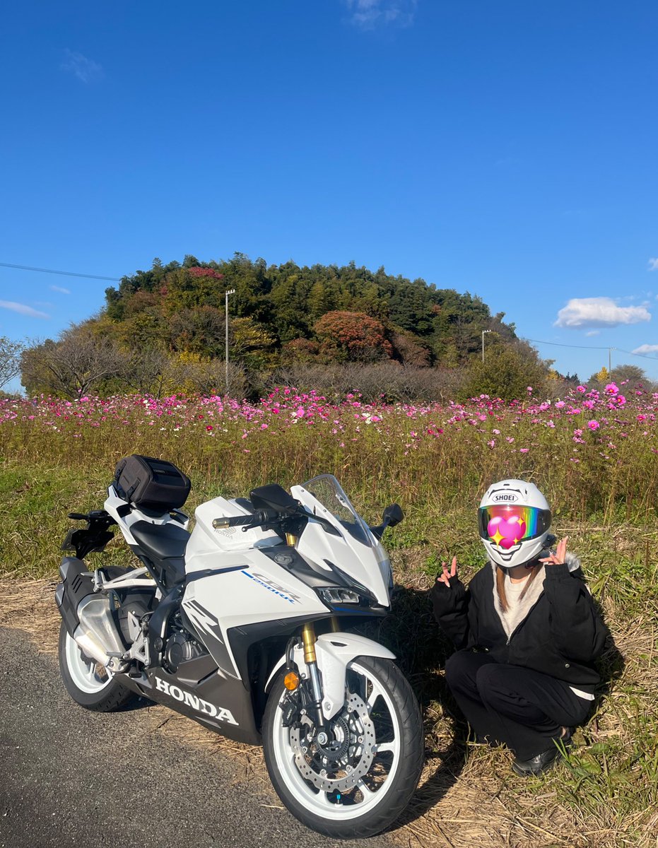 なーちゃん National Powersports Distributors