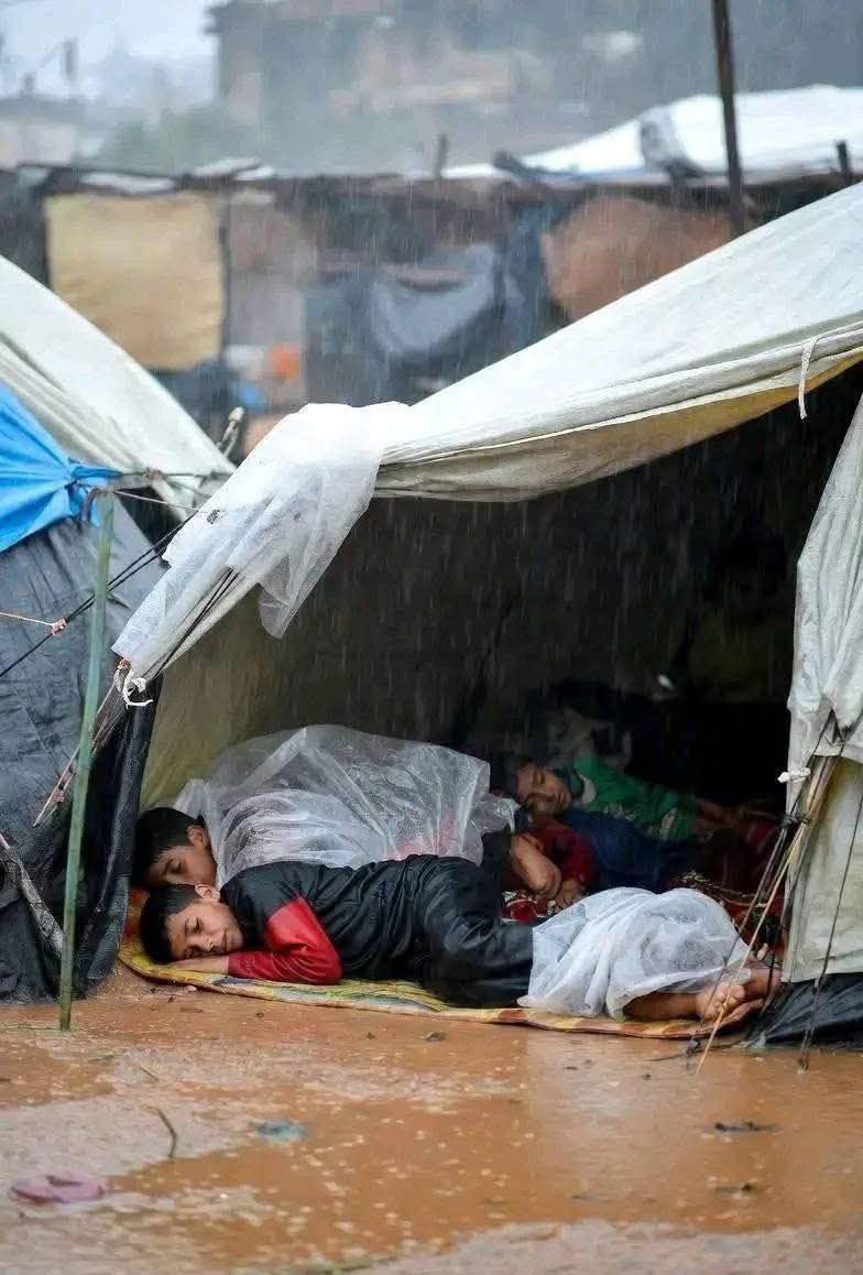 Neda_yazdanee's tweet image. هیچ کودکی نباید این‌طور بخوابد، حتی در کابوس‌ها...
#Gaza