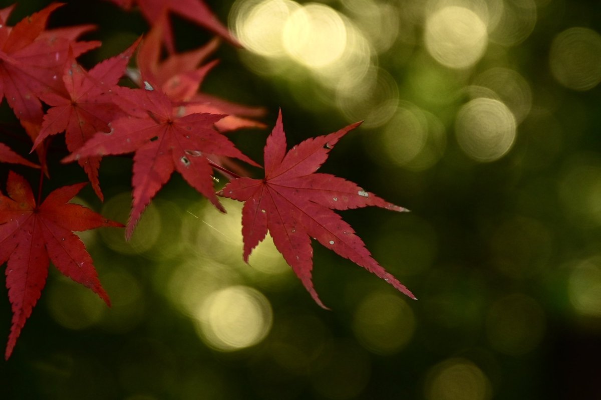 CyPm4f's tweet image. #写真好きな人と繋がりたい
君と。
いつかまた、
手を繋げますように。