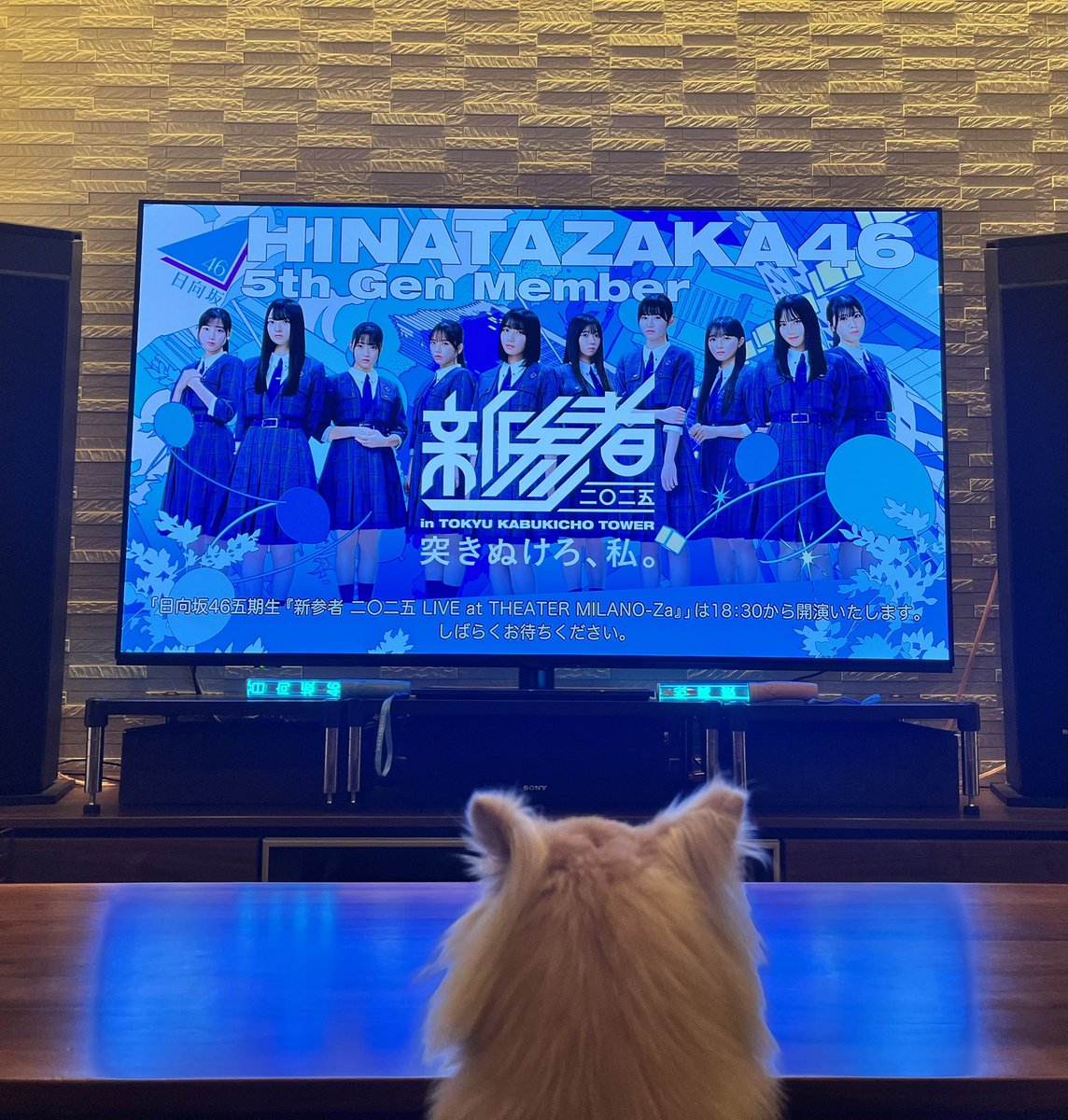 ひとりじゃない
なかまと共に
好きを超えろ！

#新参者 #好きを超えろ
#おひさまと好きを超えろ
#日向坂46 #日向坂五期生