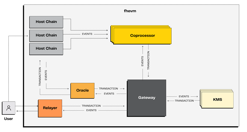 How Zama Secures Itself: Coprocessors and MPC

The real computation happens off-chain through Zama’s coprocessor network, which performs encrypted operations without revealing any data.

Each computation result is verified by the Gateway, a protocol-level hub that runs consensus
