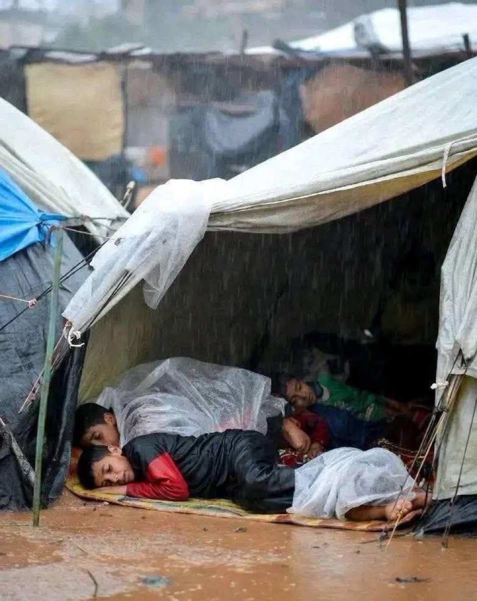 elonue's tweet photo. Efendiler, bizi unuttunuz! 

Arabalarınızın anahtarlarını, cep telefonlarınızı, kol düğmelerinizi değil bizi unuttunuz!

Sizi, doların yükselişi ve insanlığın alçalışı kadar telaşlandırmadı bu ölüm.

Günler öncesinden beklediğiniz dizinizi izlemek için haftalar öncesinden katledilip kaldırımlarda çürüyen bedenlerimizi unuttunuz!

Size benim ne kadar öldüğümü değil, bana sizin ne kadar suskun olduğunuzu gösterdiler.

Siz, kahvenizi nasıl içtiğinizi unutan işçilerinize kızarken, benim altı kurşunla nasıl öldüğümü unuttunuz!

Ayağa kalktığınızı biliyorum ama bizim için değil, sevdiğiniz futbolcuları ve oyuncuları görmek için.

Hesap lütfen diye bağırdığınızı biliyorum ama zalimlere değil, kürdan eskittiğiniz lüks masaların garsonlarına.

Sizi uyutmayan bizim şehadetimiz değil, sizi uyutmayan tabaklar dolusu yediğiniz gıybetin ve hasetin sefil şişkinliği.

Üzülüyorsunuz biliyorum ama bedenlerimize kaç kurşunun girdiğine değil, büyük protokoller için sakladığınız elbiselere giremeyen bedenlerinize. Ne büyük gam, ne büyük keder!

Bu zalimler beni değil, Mescidi Aksâ’da secdeye gidecek olan bir başı vurdular.
Biliyorum ki siz sıklaştırıyorsunuz evet ama safları değil dünya ile muhabbeti. 

Biliyorum ki dolduruyorsunuz evet ama kardeşinizin yerini değil, Pazar bulmacalarını ve riyanın boşluklarını.

Biliyorum ki, toplanıyorsunuz evet ama biz mazlumlar için değil, bizim kaç ölü yaptığımız konuşulurken sizin bulutlara bakarak ağzı açık uyuduğunuzu görmesinler diye gevşekliğinize çeki düzen veriyorsunuz.

Tavana bakıp, esvaplarınızın ucuyla gözlük camlarınızı silerek not aldıklarınız arasında, uyandığınızda unuttuğunuz eksilmiş kardeşlerimizin isimleri var. İşte biri daha.
Kayıtlara geçerken bir Filistinli… Ailesi için bir cenaze işlemi… Ümmet için sukut… Beni sessizliğiniz defalarca kefenlemiştir ama sizden daha fazla haykıran toprağa ilk defa gireceğim.
Bana şans dile ey unutan!

Sizden dilendiğimiz ‘birlik olmaktı’ ama beyhude. Siz size bizi unutturan zalimleri sevdiniz. Birbirinize ‘iyi şanslar’ dilerken, bir köpeğin bedenlerimiz üstünde şansını kurşun kurşun denediğini görmüyorsunuz.

Bize şans dile, ey rehavetin, ey sefaletin sahibi! Ey mazlum kardeşinin ahından başka mülkü olmayan! Ey benim sesime sağır! 

Şehadetin hafiflettiği bedenlerimizden kalan o büyük vebale isabet ol!

İşte bu yüzden etkileniyorsunuz evet ama eksilmemizden değil, bizleri son dakika haberi olarak sunan sunucunun neon yeşili ceketinden!

Bu zulmün içinden nasıl çıkacağımızı değil, bir selfielik pozlarda nasıl çıktığınızı konuşuyorsunuz!

Biz, bulduğumuz şehadete sarılıp umduğumuz cennete gidiyoruz.

Bizim bundan sonra eve dönüşümüz olmasa da gidecek bir cennetimiz var. Bizi belki zaferlerle gömecekler lakin zalimleri çaldıkları topraklarımız bile örtmeyecek.

Kendi vatanının yanağından böyle sessiz bir gözyaşı gibi süzülerek gidenin adıdır Müslüman.

Bir kardeşi Kelime-i şehadetin içinde çağlarken ,
Diğer kardeşi Kelime_i rehavet içinde susturan neydi?