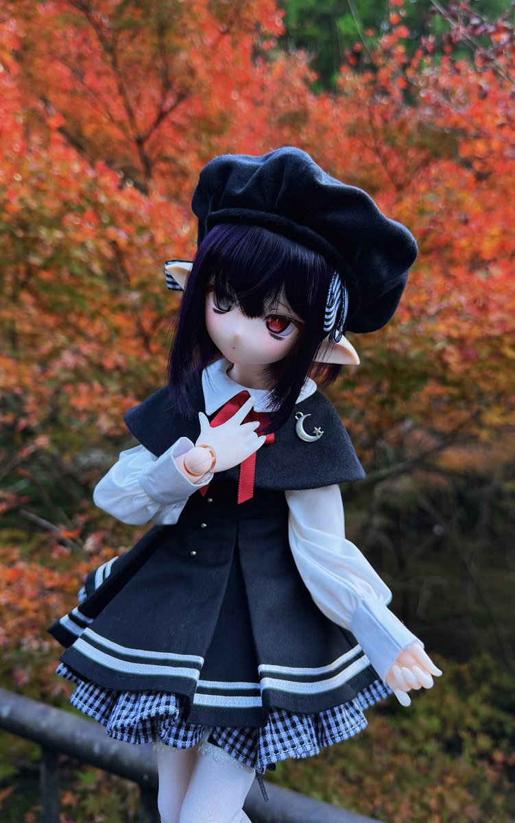 amauta1lu's tweet image. 紅葉狩り🍁

#おぺちゃんこ
#いるみなどーる