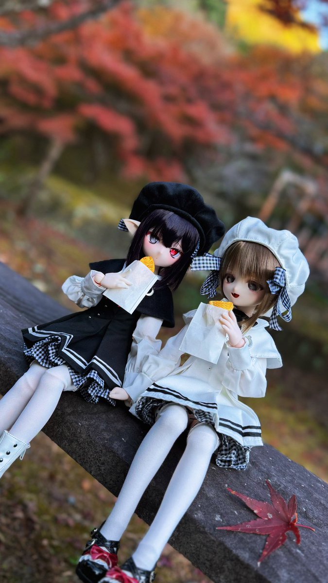 amauta1lu's tweet image. 紅葉狩り🍁

#おぺちゃんこ
#いるみなどーる