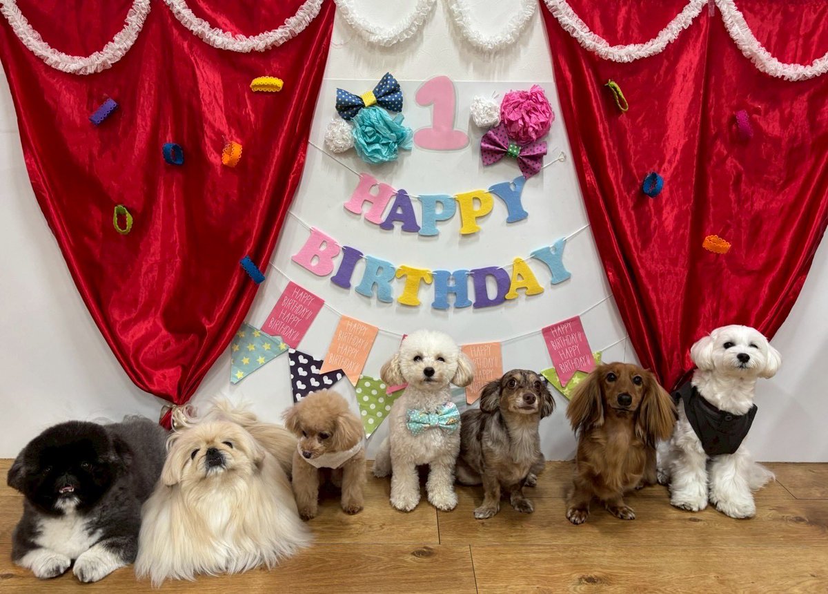 👶らんらん👶 (@ranran0331) / Posts / X