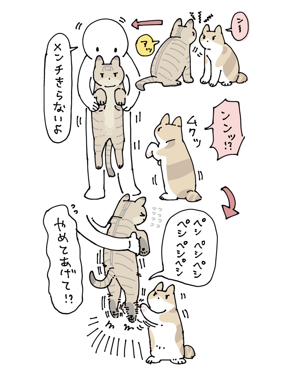 カシューナッツ。 (@Cashout_nuts) / Posts / X