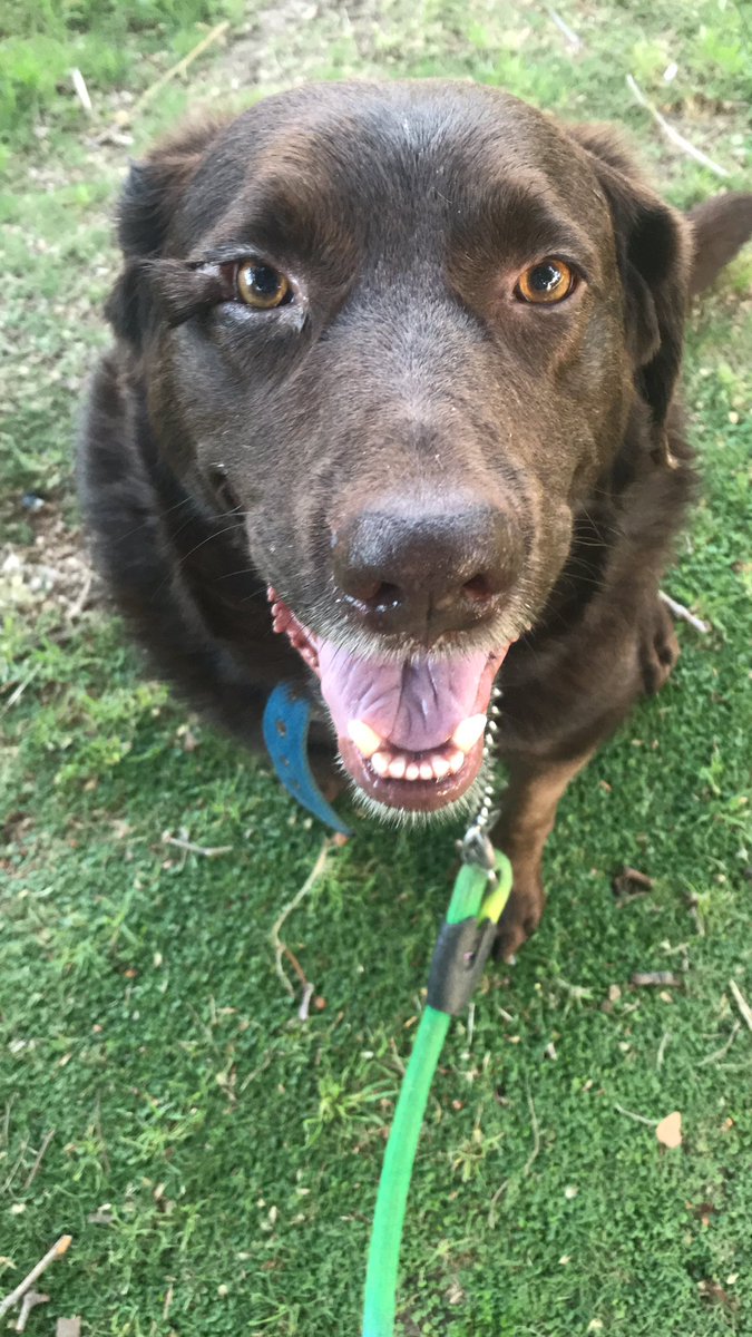 MaggeDelbene's tweet image. Buen día! #Darwin