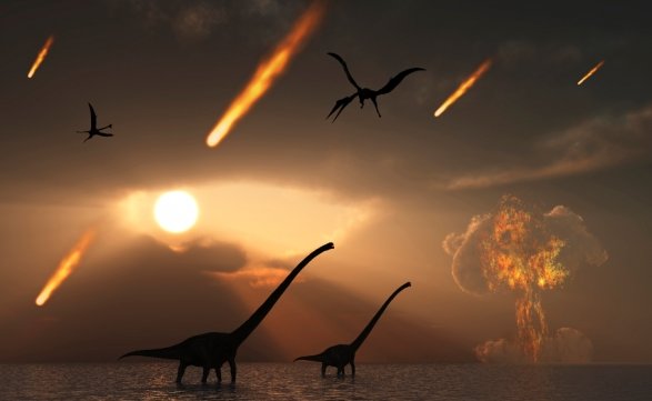 후투티(스포있고 밥먹음) (@ppam_2cha) on Twitter photo 