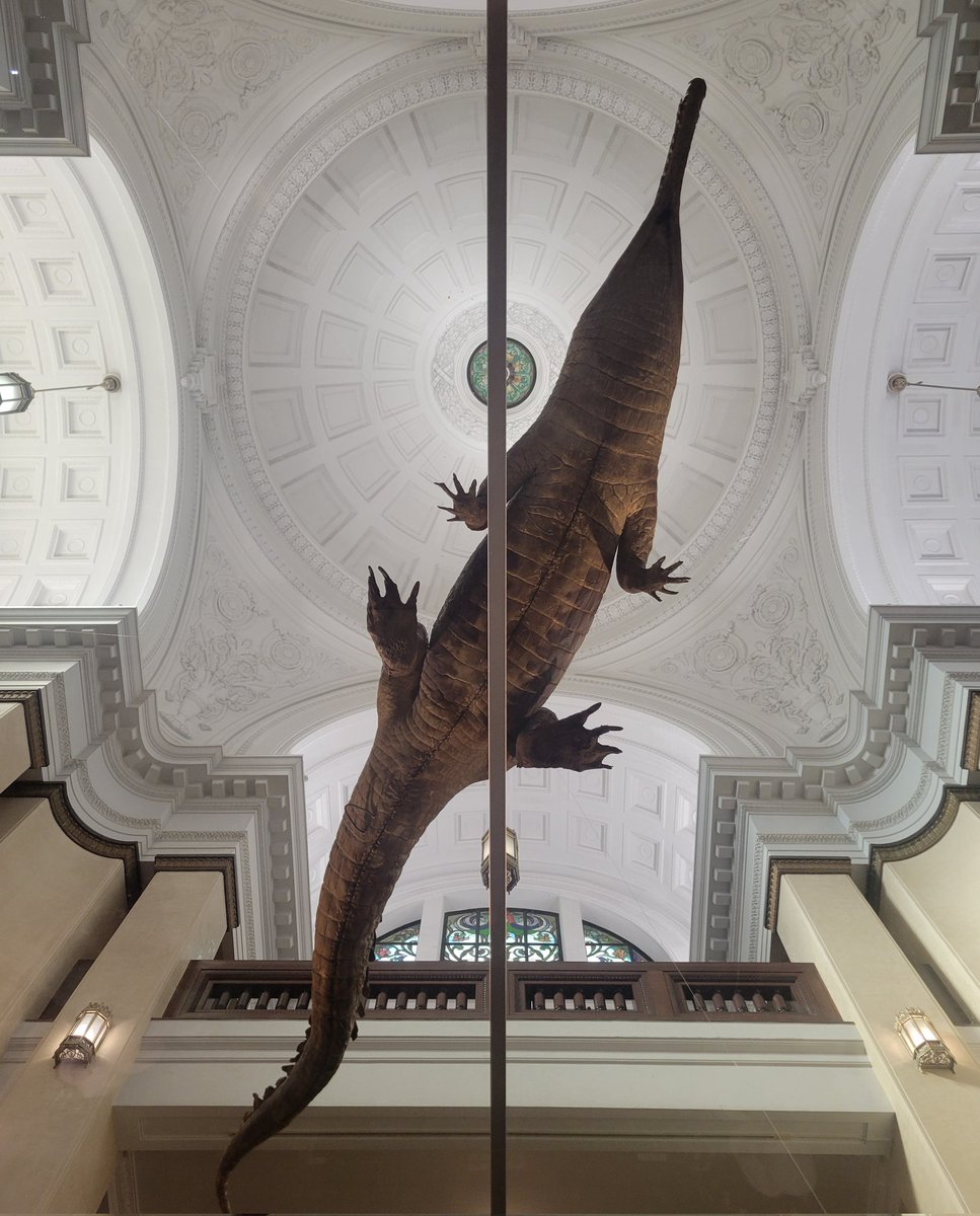 blue (@blue8972_pad) / Posts / X