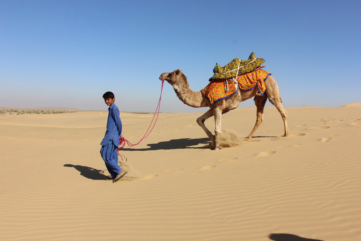 Tribal boy, lives in a hut, no school in this uninhabited desert, he tends to his camel, helps his parents survive.  
Shot on: Canon 
Photography: Manish Gupta