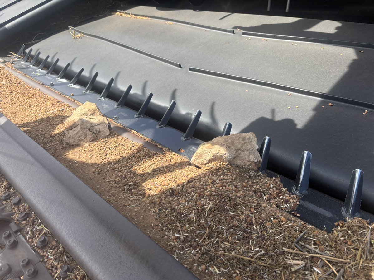 Patrick Way tweet media