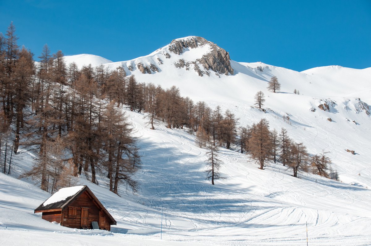 Montgenevre's tweet photo. 📷OUVERTURE CONFIRMEE📷
📷Le domaine skiable de Montgenèvre ouvre ses pistes dès samedi 29 Novembre 2025📷
Qui sera sur les pistes avec nous ?
📷 https://t.co/7hDSIg39sU
#Montgenèvre #MyMontgenèvre #MontgenèvreExpérience https://t.co/7OltxfLWHv
