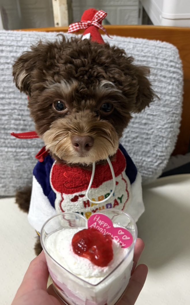 犬好きさんとつながりたい