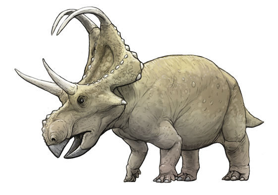 Bull.Falcon (@FalconBull) / Posts / X