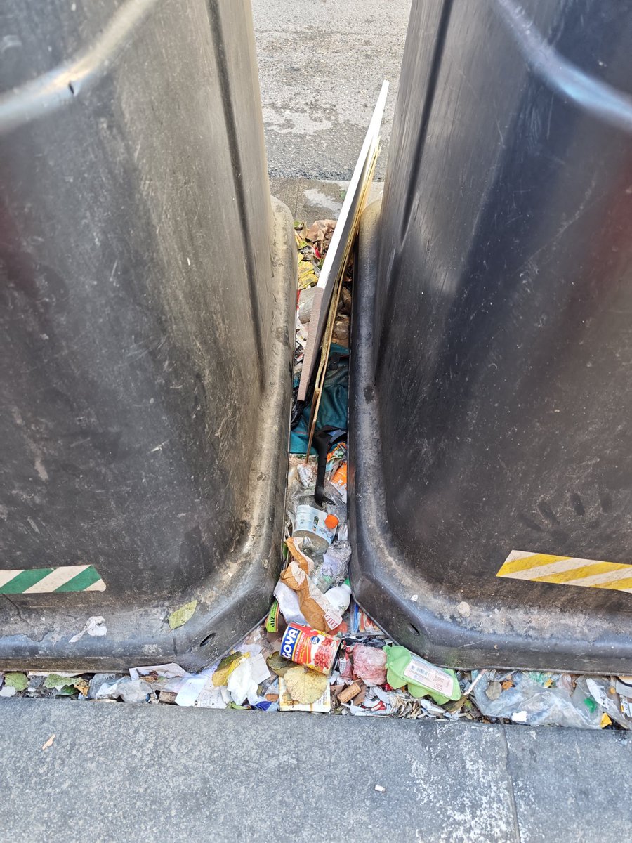 raquel congosto tweet media