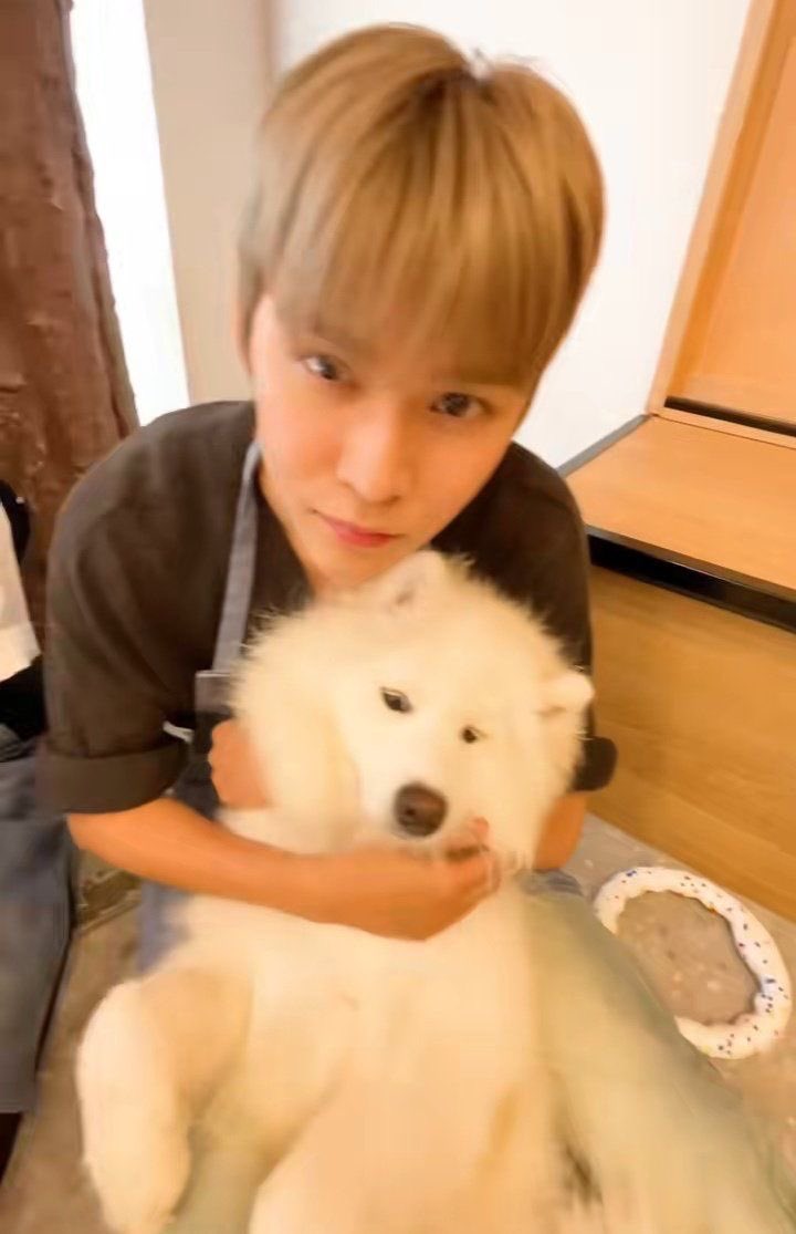 0ynenh's tweet image. 全部かわいい................