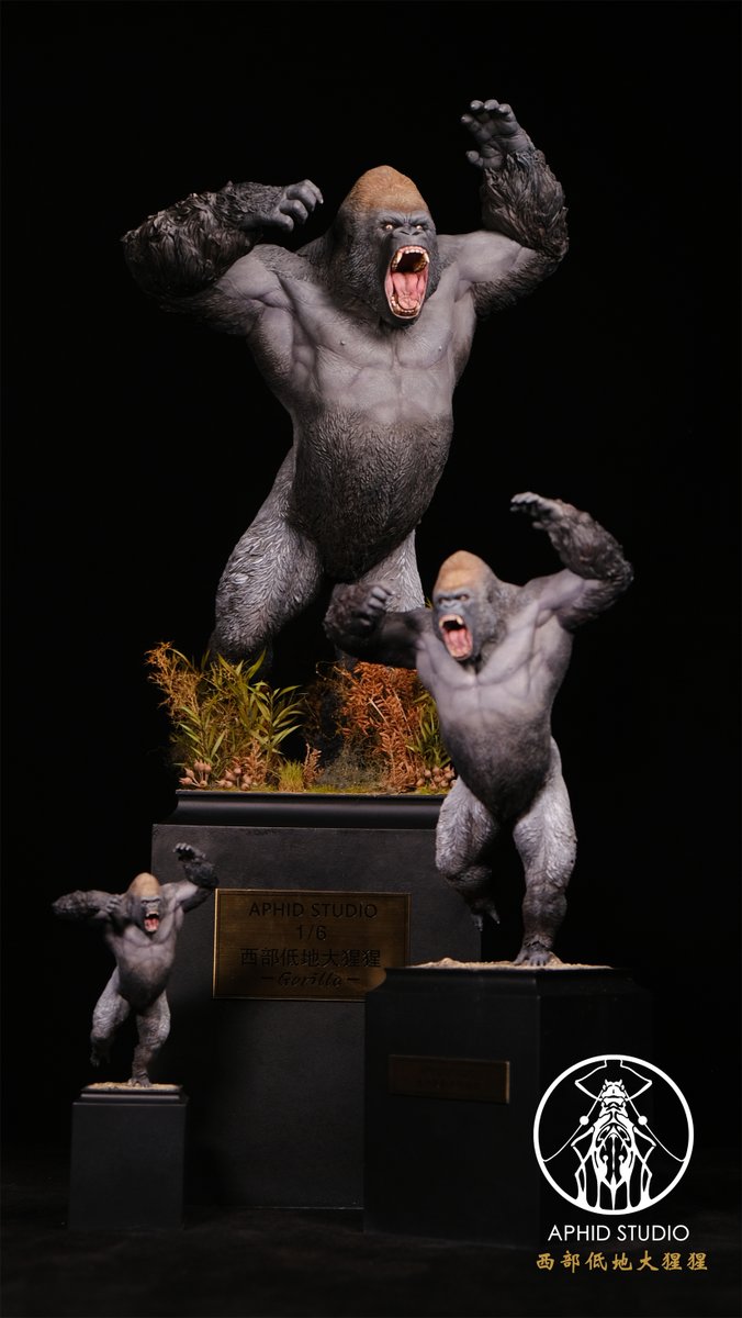 ゴリラ-マン♿︎ (@Godzilla1995_16) / Posts / X