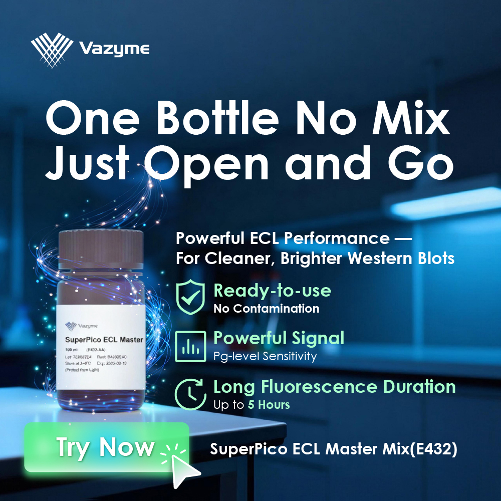 Pipetting steps are a major source of contamination.
SuperPico ECL Master Mix is a single-component, no-mix reagent—ready to use>>bit.ly/440FR3w
✅Powerful signal
✅Long Fluorescence Duration
Get cleaner, brighter Western blots.

#LifeSciences #Biotech #ECL #WesternBlot