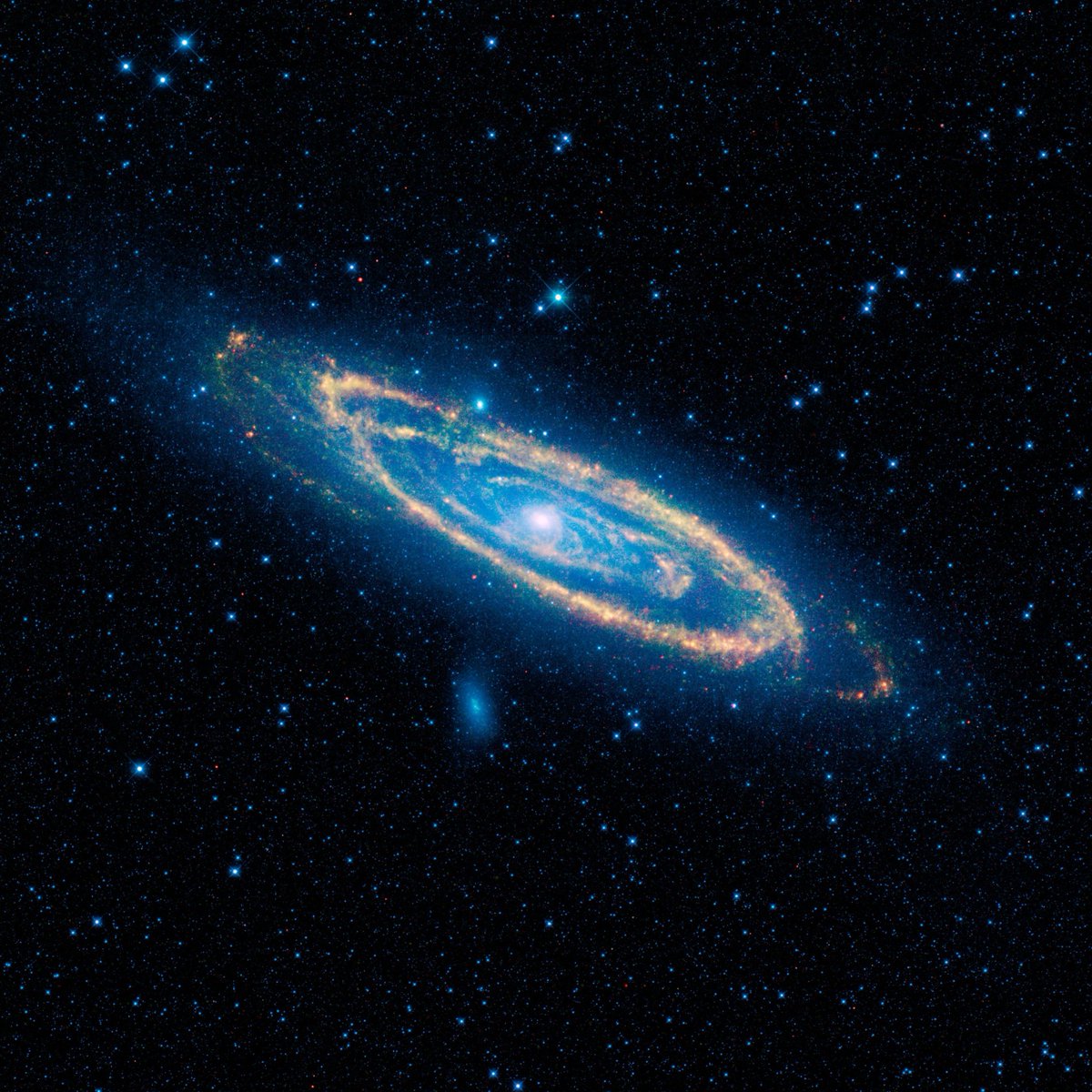 The Andromeda Galaxy 🌌

It's the nearest major galaxy to the Milky Way 

📷 NASA