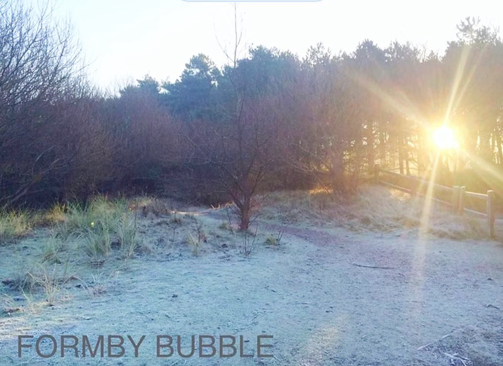 FormbyBubble's tweet image. Good morning on Wednesday 26th November. It is 2°C but feels like -2°C with a light breeze of 9mph in #Formby. A beautiful frosty and icy morning it was today feeling really chilly with thickening cloud and rain this afternoon.
Full weather report here…

formbybubble.com/single-post/a-…