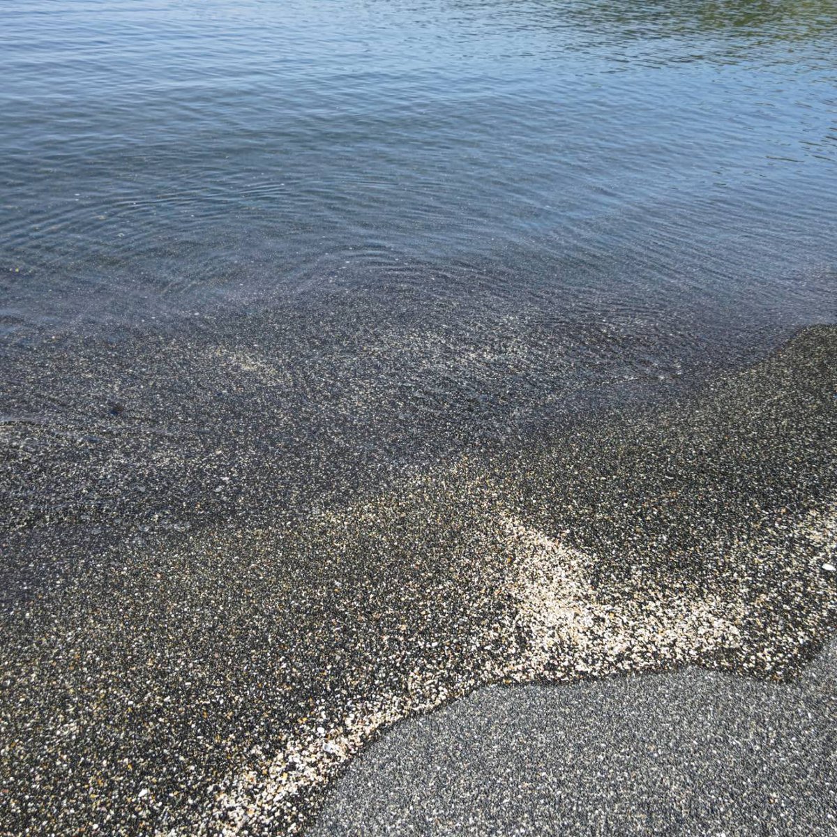 necodouraku's tweet image. ねこ道楽の近くにある北海道の厚田の海の写真です*ฅ´ω`ฅ*
綺麗でした。気持ちの良いも海風を感じます。海はどこまでも広がり先は何も見えず海外へと繋がっていると思うと不思議な気持ちなります。厚田漁港は、孤独のグルメのロケ地でもあります。
#海 #厚田 #北海道 #札幌 #漁港 #自然 #孤独のグルメ