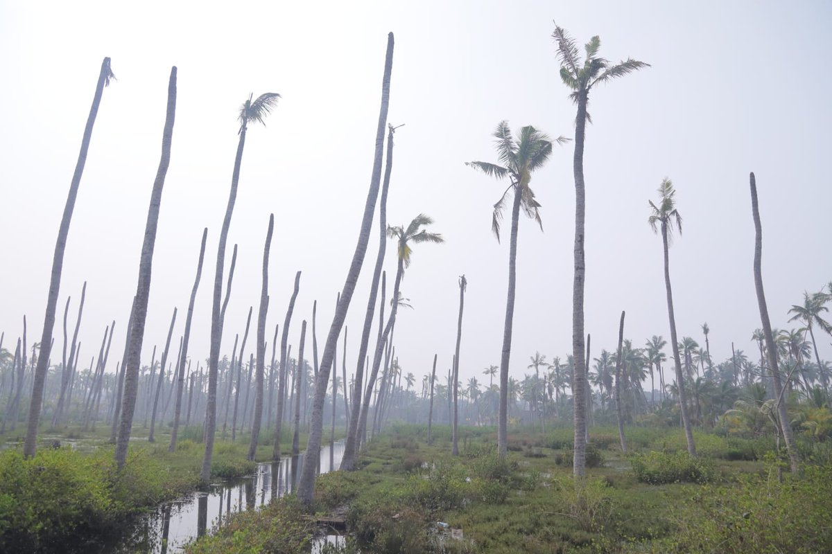 JSPShatagniTeam's tweet image. సముద్రపు నీరు చేరి పాడైన కొబ్బరి తోటలను పరిశీలించేందుకు మరికొద్దిసేపట్లో కేసనపల్లి వద్ద శంకరగుప్తానికి రానున్న ఉపముఖ్యమంత్రి శ్రీ @PawanKalyan గారు.

#AndhraPradesh