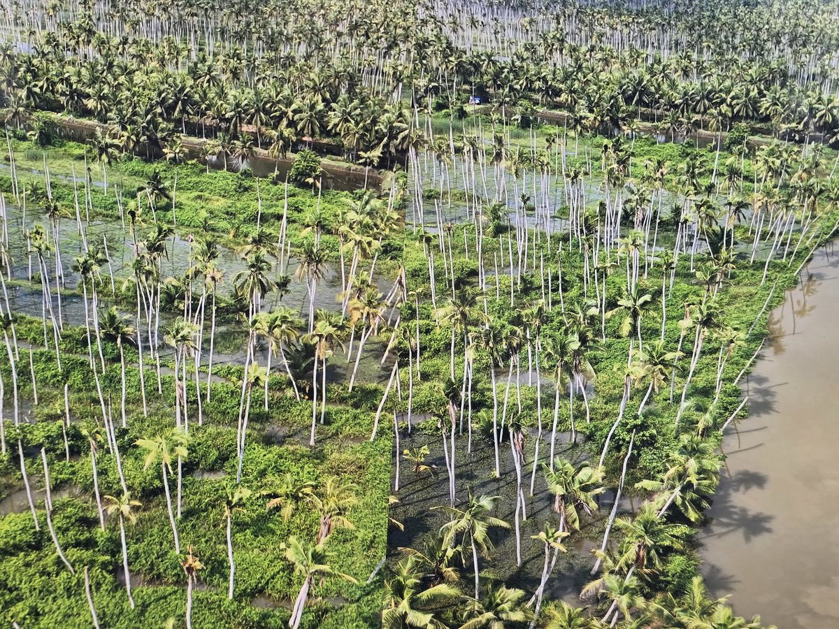 JSPShatagniTeam's tweet image. సముద్రపు నీరు చేరి పాడైన కొబ్బరి తోటలను పరిశీలించేందుకు మరికొద్దిసేపట్లో కేసనపల్లి వద్ద శంకరగుప్తానికి రానున్న ఉపముఖ్యమంత్రి శ్రీ @PawanKalyan గారు.

#AndhraPradesh