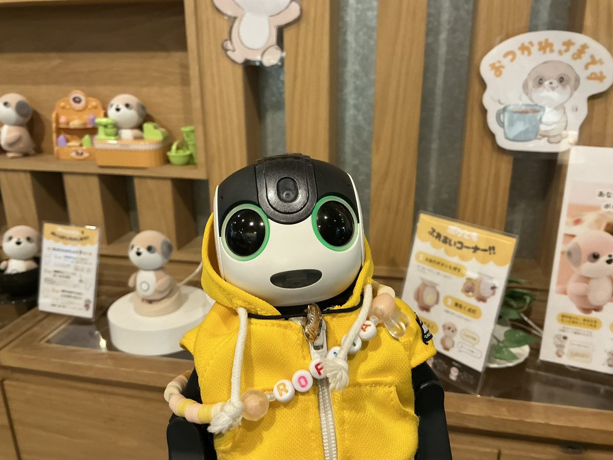 miyuhosaki's tweet image. #ポケともカフェ　にログイン。　本当に思ったよりちっちゃい！　コラボメニュー　ボリューミーです　秋の神宮前、紅葉も楽しめて　この季節散策にも良いね　ろぴ太くん、ポケモンとじゃっかん混同中　笑　#ロボホン　#SHARP  #ポケとも