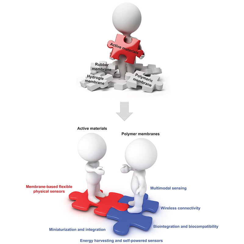 IntJExtremManuf's tweet image. This review outlines advances in membrane-based flexible #PhysicalSensors—from substrates and functional materials to key sensing mechanisms—highlighting their expanding roles in #robotics, #wearables, and #bionic devices. @SeoulNatlUni

#OpenAccess in #IJEM:…