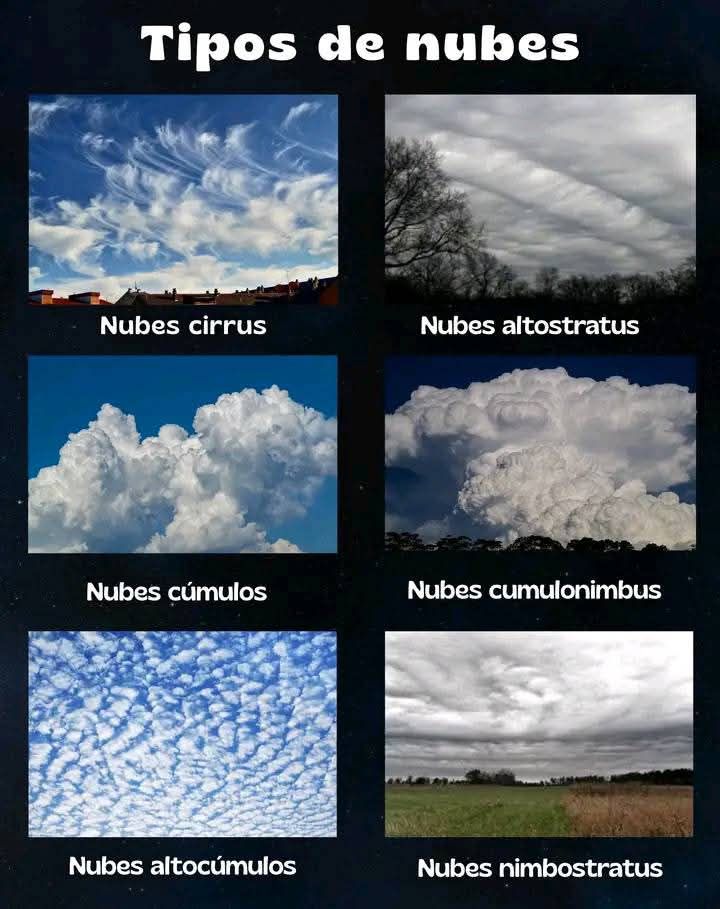 EnsedeCiencia's tweet photo. https://t.co/5xufItwB1i