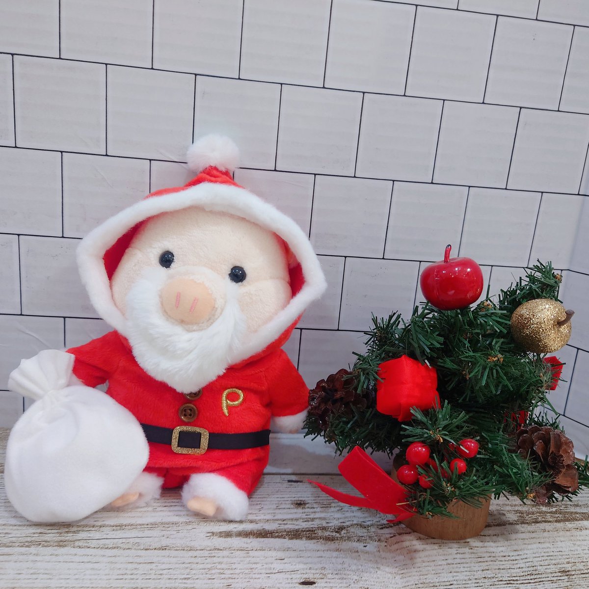 nipopo池袋サンシャインシティアルタ店 (@nipopomeow) / Posts / X