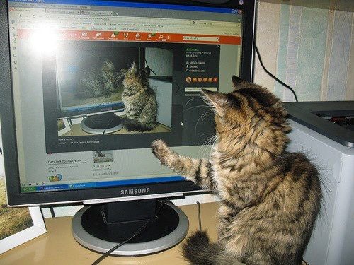 faewings's tweet image. ^&amp;gt;_&amp;lt;^🖥️