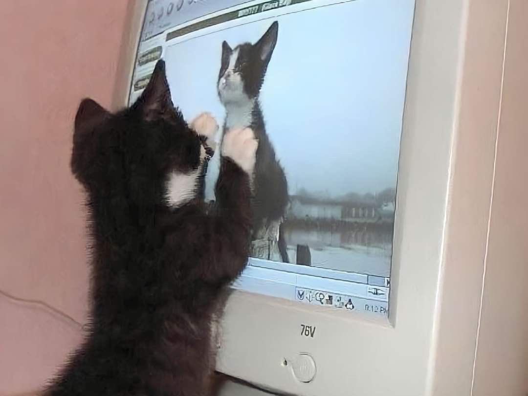 faewings's tweet image. ^&amp;gt;_&amp;lt;^🖥️