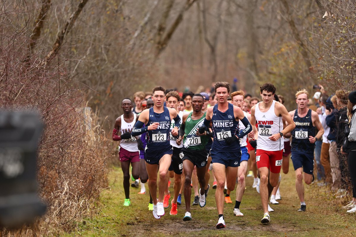 Samuel Boender tweet media